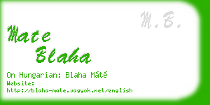 mate blaha business card
